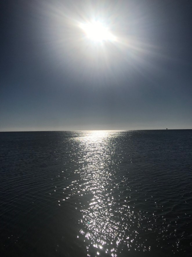 22758C73-41A2-4D70-AEC1-685A7EAFB4FE