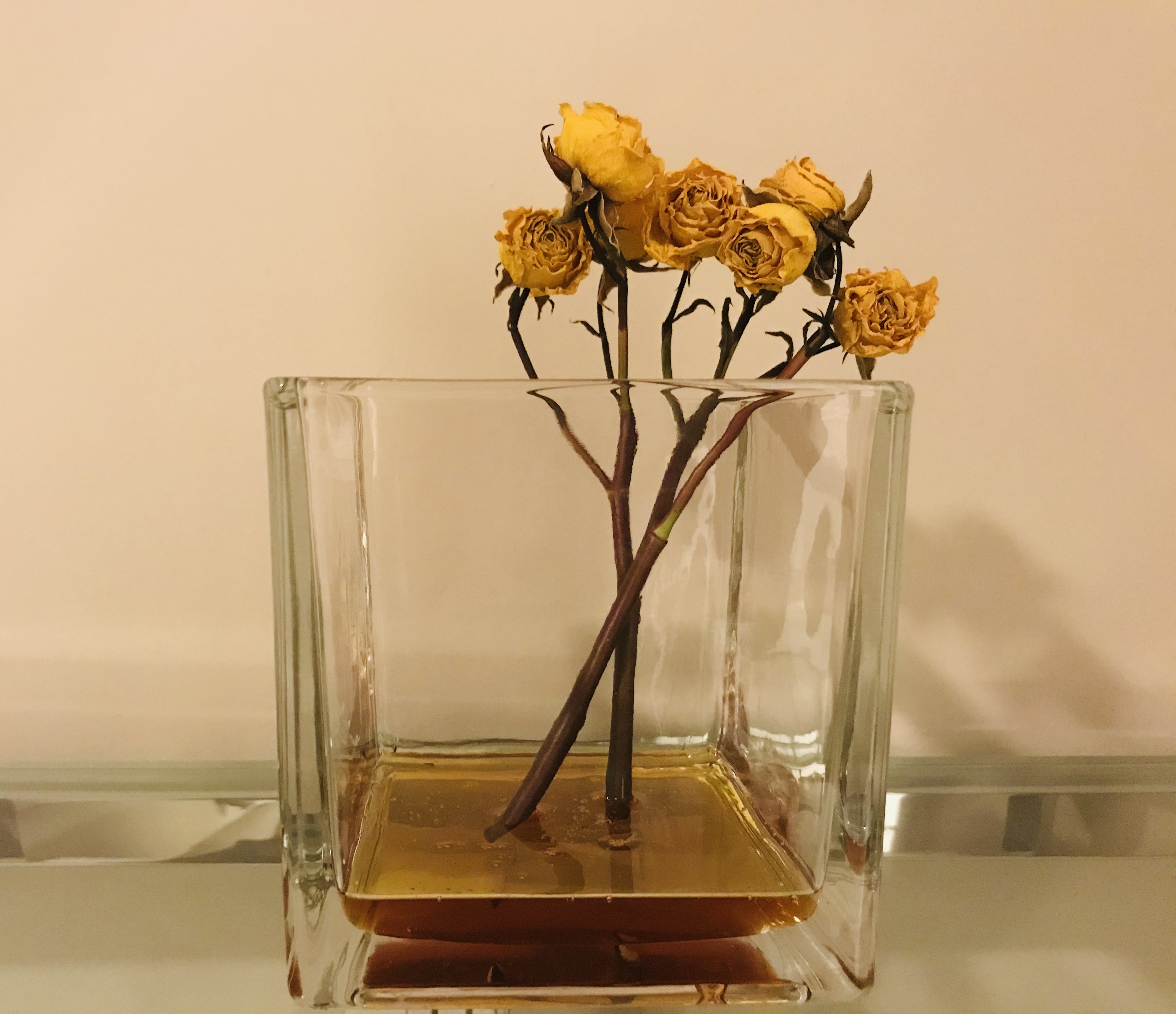 E1F5AF4C-4B0D-4815-B8B7-989831F61B7B